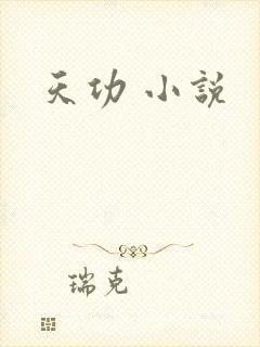 天功 小说
