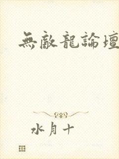 无敌龙论坛