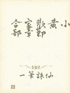 合家欢黄小梅全部章节