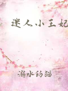 迷人小王妃