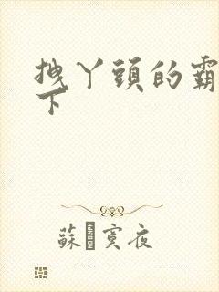 拽丫头的霸道殿下