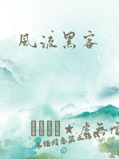 风流黑客
