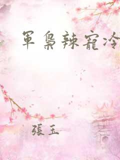军枭辣宠冷妻