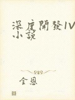 深度开发1V3小说