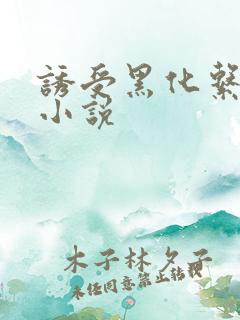 诱受黑化系统 小说