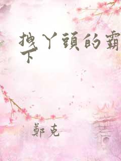 拽丫头的霸道殿下