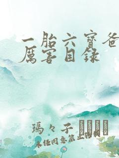 一胎六宝爸比好厉害目录