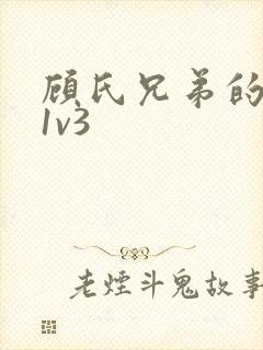 顾氏兄弟的南宁1v3