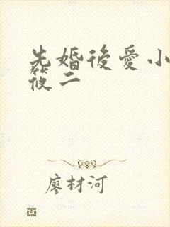 先婚后爱小说梦筱二