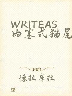 WRITEAS内塞式猫尾