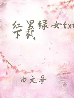 红男绿女txt下载