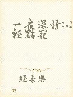 一夜深情:小叔轻点宠