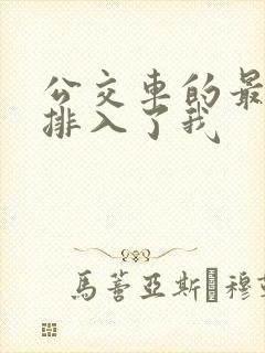 公交车的最后一排入了我