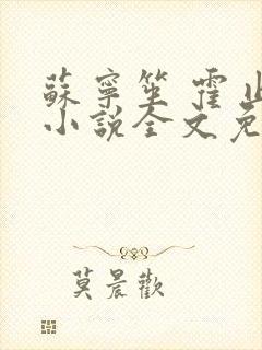 苏宁笙 霍止行小说全文免费阅读