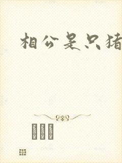 相公是只猪