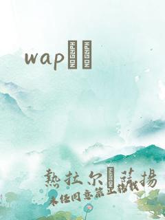 wapС˵
