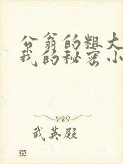 公翁的粗大放进我的秘密小说