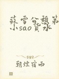 苏雪公憩第一章小sao货水