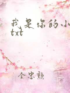 我是你的小小狗txt