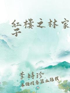 红楼之林家庶长子