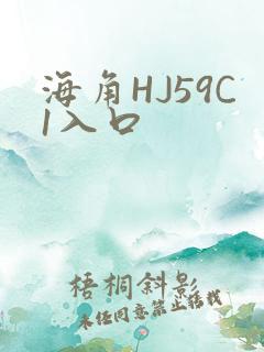 海角HJ59C1入口