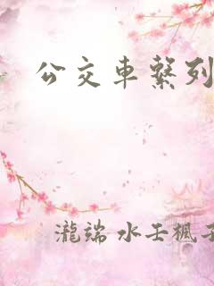 公交车系列说说