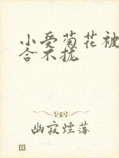 小受菊花被双龙合不拢