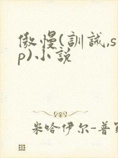 傲慢(训诫,sp)小说