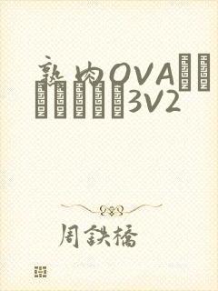 熟肉OVAちゃんはしたい3V2