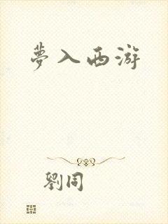 梦入西游