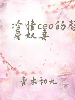 冷情ceo的替身奴妻
