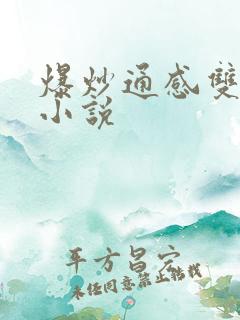 爆炒通感双胞胎小说