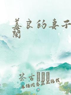 善良的妻子王晓兰