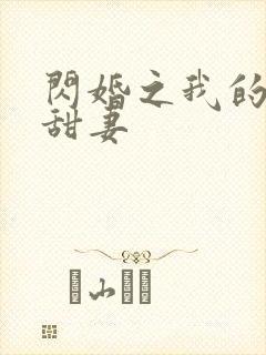 闪婚之我的惹火甜妻