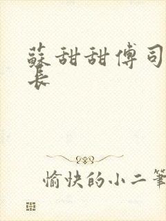 苏甜甜傅司衍机长