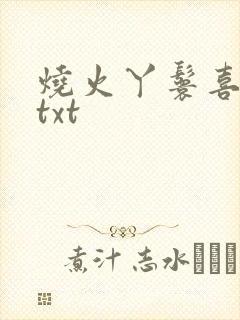 烧火丫鬟喜洋洋txt