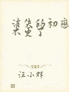 消失的初恋为啥不更了