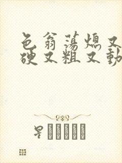 色翁荡熄又大又硬又粗又动态图