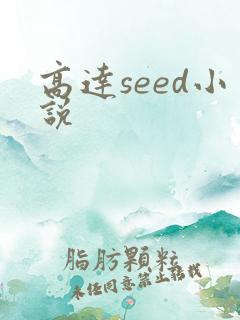 高达seed小说