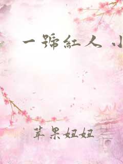 一号红人 小说