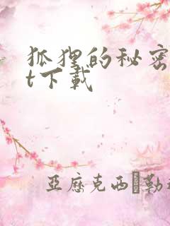 狐狸的秘密txt下载