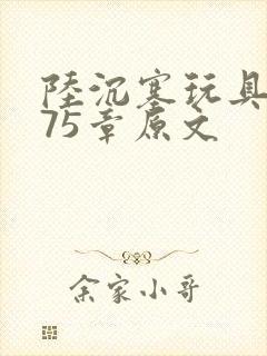 陆沉塞玩具高速75章原文