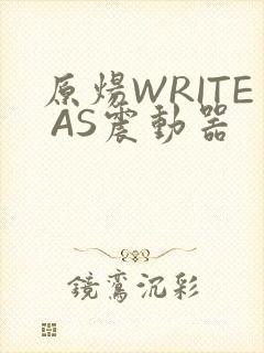 原炀WRITE AS震动器