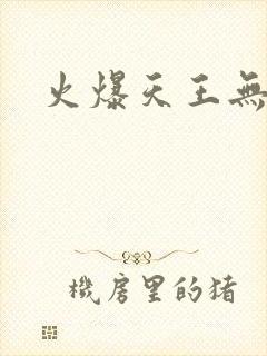 火爆天王无弹窗