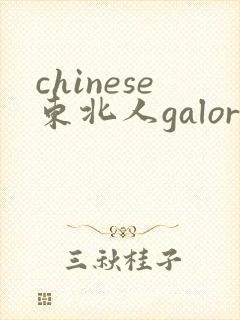 chinese东北人galore