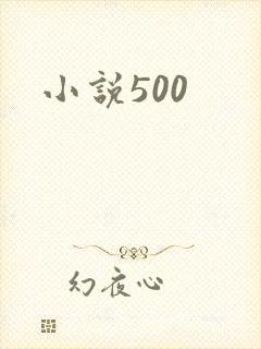 小说500