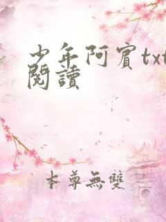少年阿宾txt阅读