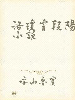 洛琼霄段阳澍的小说