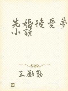 先婚后爱梦筱二小说