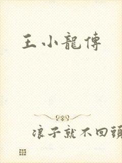 王小龙传